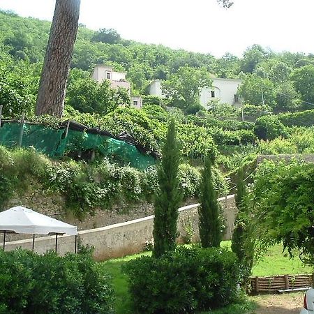 Bed and Breakfast Pietra Rosa Tramonti Exterior foto
