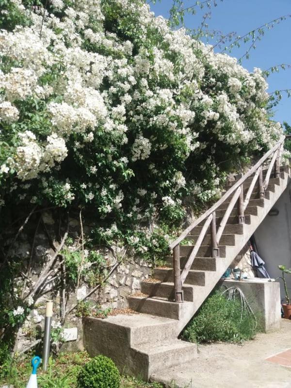Bed and Breakfast Pietra Rosa Tramonti Exterior foto
